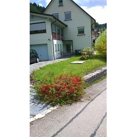 Haus Marion Apartman Todtnau Kültér fotó