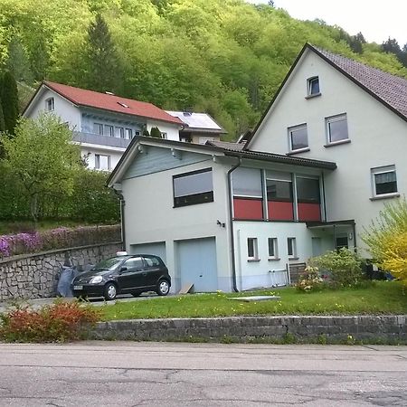 Haus Marion Apartman Todtnau Kültér fotó