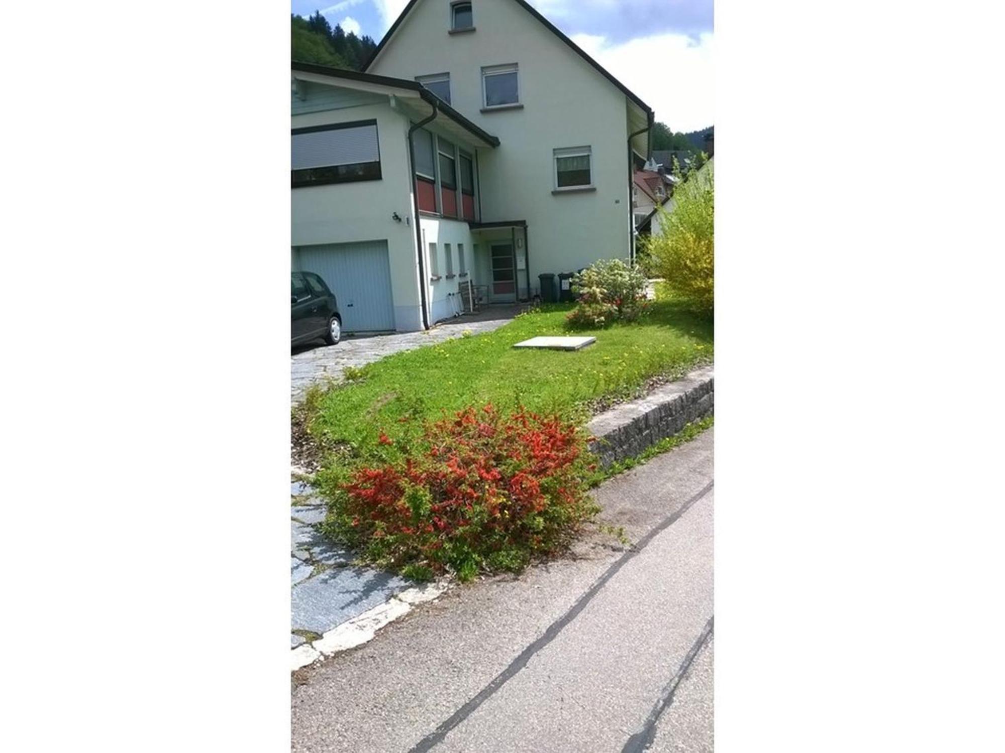 Haus Marion Apartman Todtnau Kültér fotó
