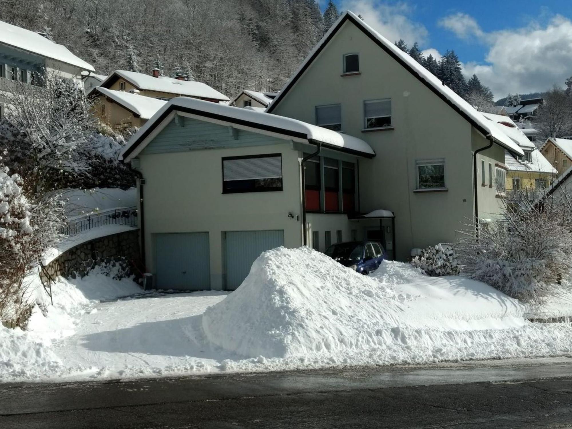Haus Marion Apartman Todtnau Kültér fotó